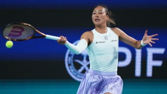 政府应帮助 政府应帮助