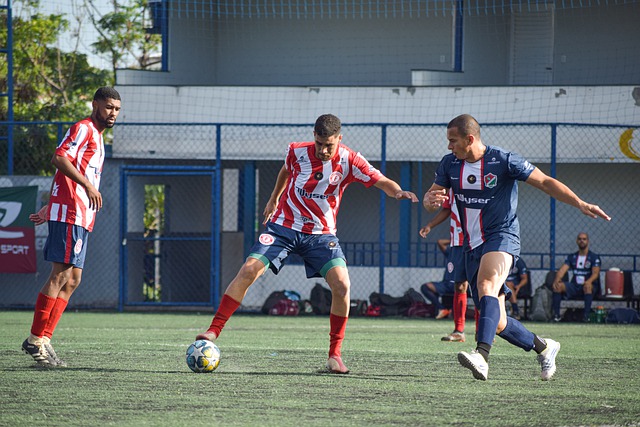 举一动都可 举一动都可